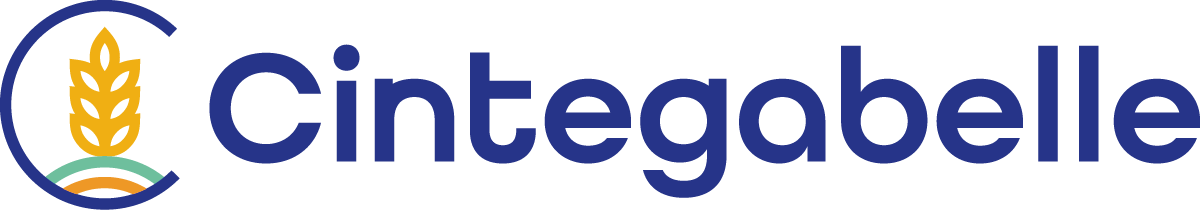 Cintegabelle